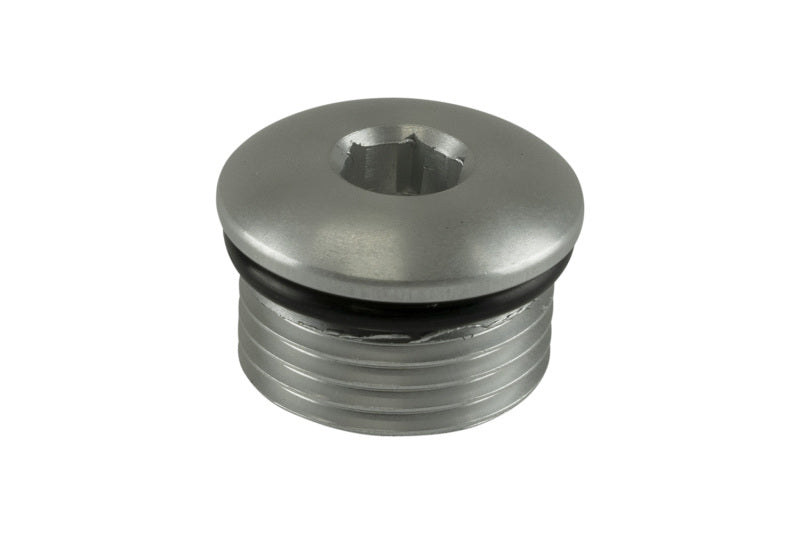 Turbosmart -10AN ORB Blank - Clear
