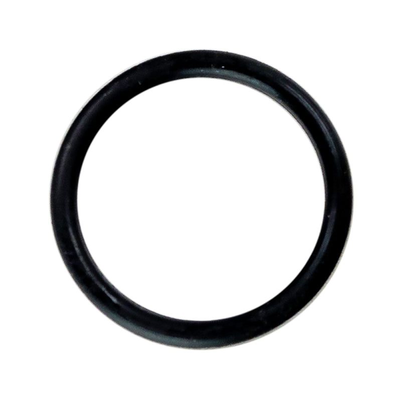Moroso Replacement O-Ring (Replacement for 297006)