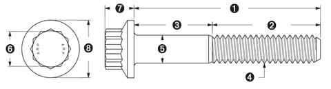 ARP - M10 x 1.25 x 30 12pt SS Bolts (5/pkg)