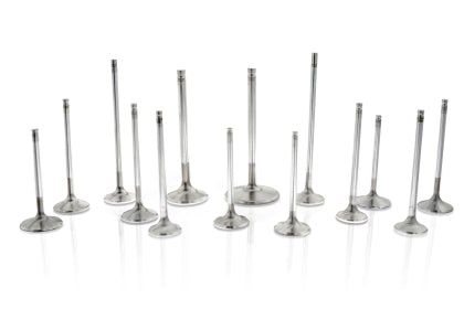 Ferrea - Honda F20C/F22C 36mm 5.48mm 109.8mm 20 Deg S-Flo Stock Comp Plus Intake Valve - Set of 8