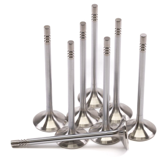 GSC P-D Ford Mustang 5.0L Coyote Gen 1/2 31.75mm Head (STD) Chrome Polished Exhaust Valve - Set of 8