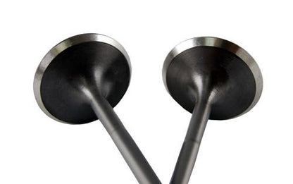 BLOX Racing High Compression Intake Valve Set for Honda F20C (set of 8)