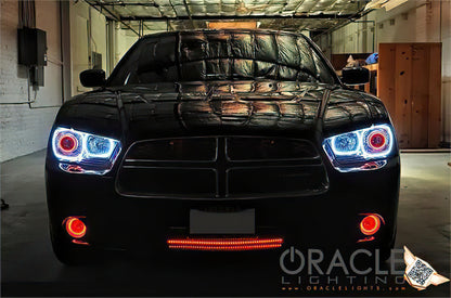 Oracle 11-12 Dodge Charger LED Fog Light Halo Kit - Blue
