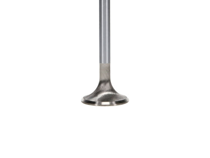 Manley 99-12 Ford 4.6L/281 5.4L/330 V8 37mm Race Series Stainless Steel Intake Valve - Single