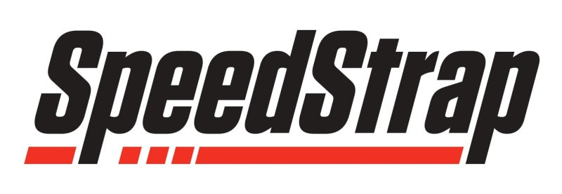 PRP Heavy-Duty Spare Tire 3-Point 2in. Tie Down with Swivel Hooks - Black - Ea