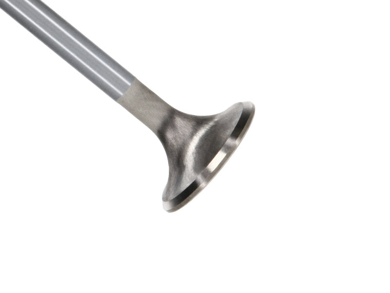 Manley 99-12 Ford 4.6L/281 5.4L/330 V8 37mm Race Series Stainless Steel Intake Valve - Single