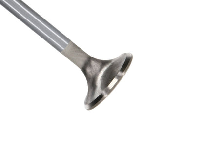 Manley 99-12 Ford 4.6L/281 5.4L/330 V8 37mm Race Series Stainless Steel Intake Valve - Single