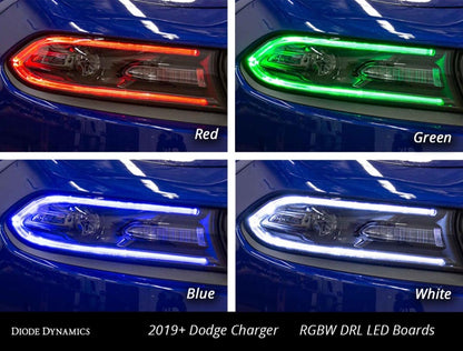 Diode Dynamics RGBW DRL LED Boards for 2019-2021 Dodge Charger