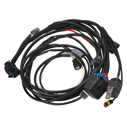 Edelbrock Chevy Gen III/IV LS Pro-Flo 4+ EFI Engine Management System