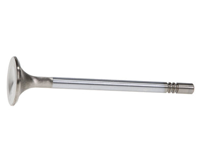 Manley 99-12 Ford 4.6L/281 5.4L/330 V8 37mm Race Series Stainless Steel Intake Valve - Single