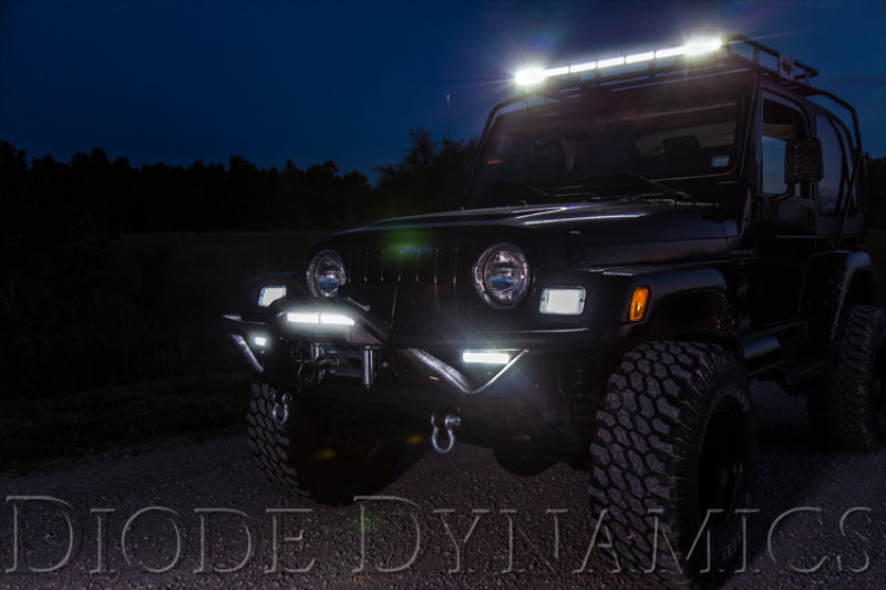 Diode Dynamics 12 In LED Light Bar Single Row Straight Clear Flood (Pair) Stage Series