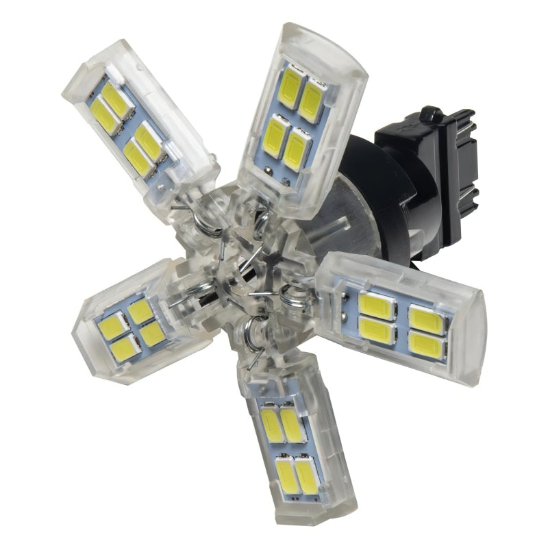 Oracle 3157 15 SMD 3 Chip Spider Bulb (Single) - Cool White