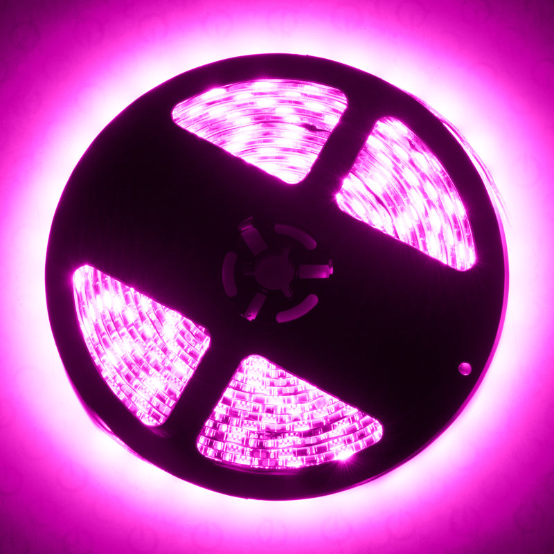 Oracle Exterior Flex LED Spool - Pink SEE WARRANTY