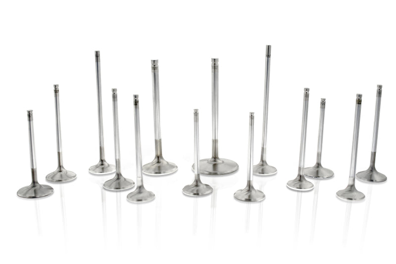 Ferrea Chevy SB 1.625in 11/32in 5.95in 0.25in 24 Deg Flo Competition Plus Exhaust Valve - Set of 8