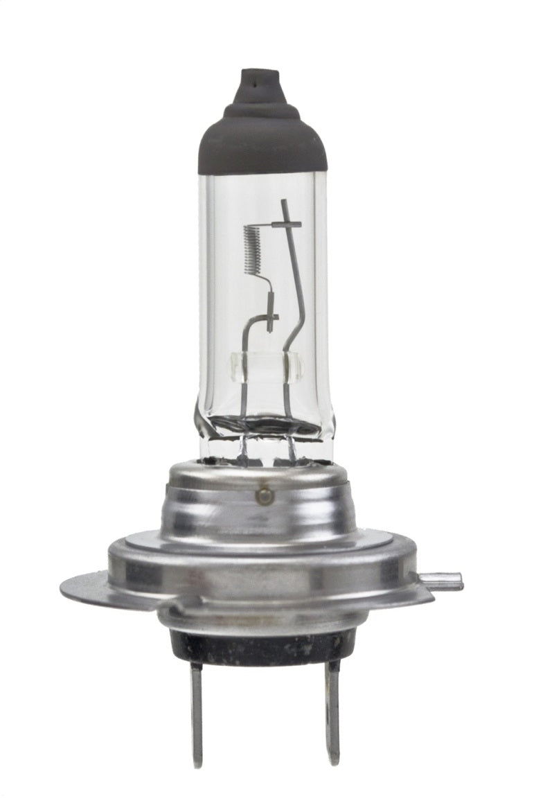 Hella Bulb H7 12V 55W PX26d T4.6 LONGLIFE