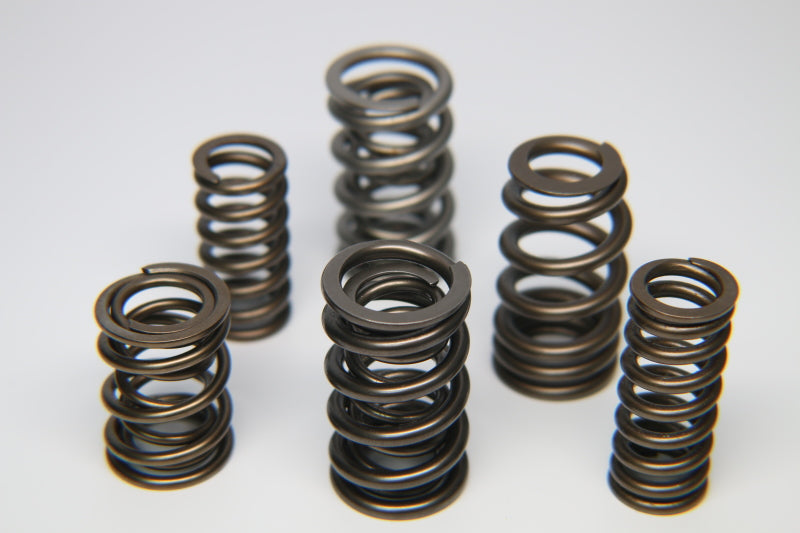 Ferrea Nissan Skyline NEO Dual Valve Spring - Single (Drop Ship Only)