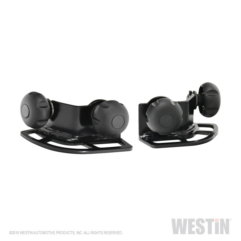 Westin Multi-Point HLR Adjustable Tie Down