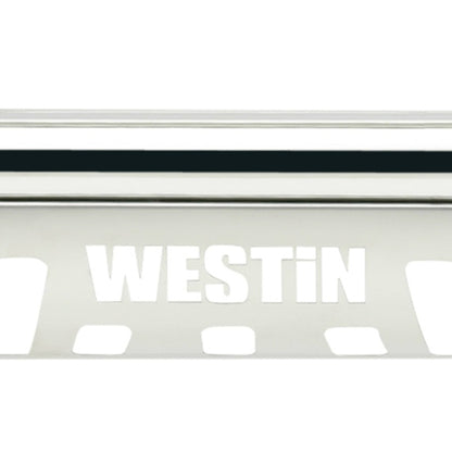 Westin 2009-2018 Dodge/Ram 1500 E-Series Bull Bar - SS