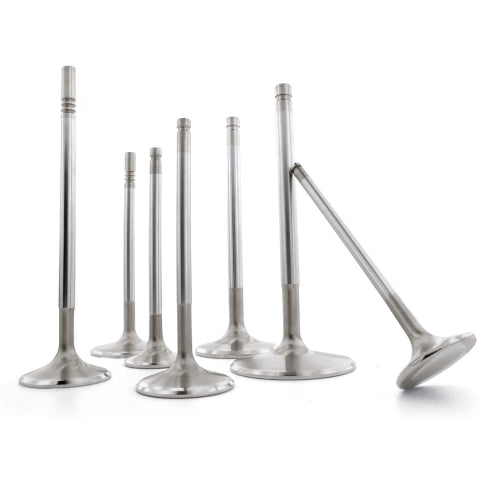 Ferrea - 6000 Series Competition Engine Intake Valves (H22A1-A4) F6024 (Set of 8)
