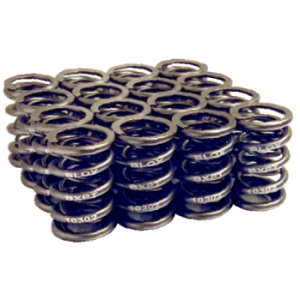 Blox Racing - Valve Springs for Honda B-Series DOHC (B18A-B, B20)