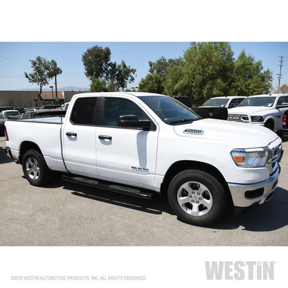 Westin 2019 Ram 1500 Quad Cab (Excl Classic) PRO TRAXX 5 Oval Nerf Step Bars - Black