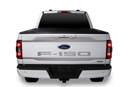 Putco 2021 Ford F-150 Ford Lettering (Cut Letters/Stainless Steel) Tailgate Emblems