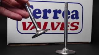 Ferrea - 6000 Series Competition Valves - K-Series (Intake & Exhaust Set)