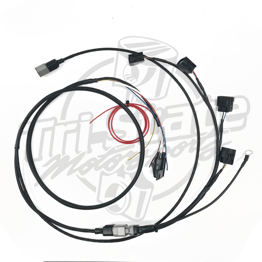 TSM Race - Honda B/H Series Coil On Plug Conversion Harness
